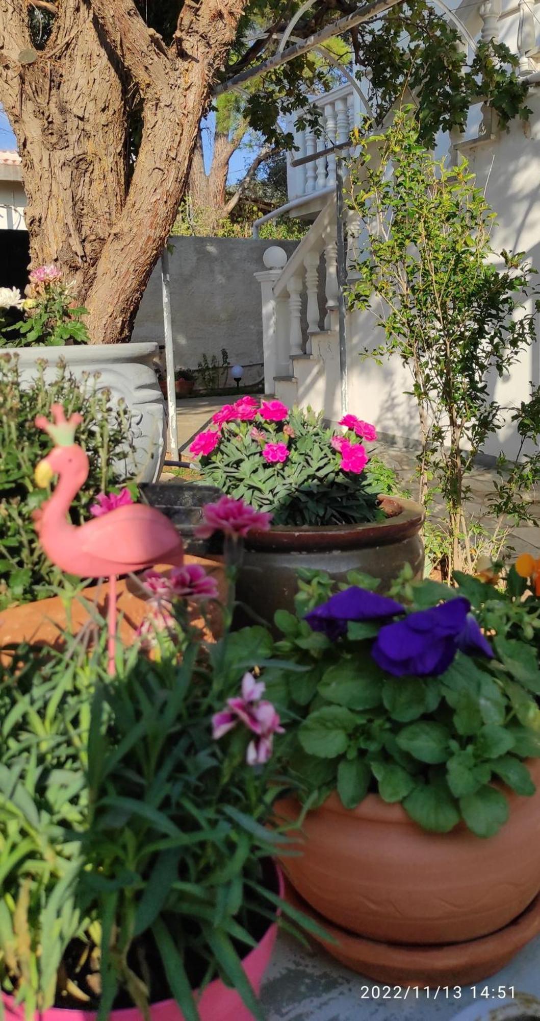 Secret Garden Home Lagonissi Attiki Foinikia  Ngoại thất bức ảnh