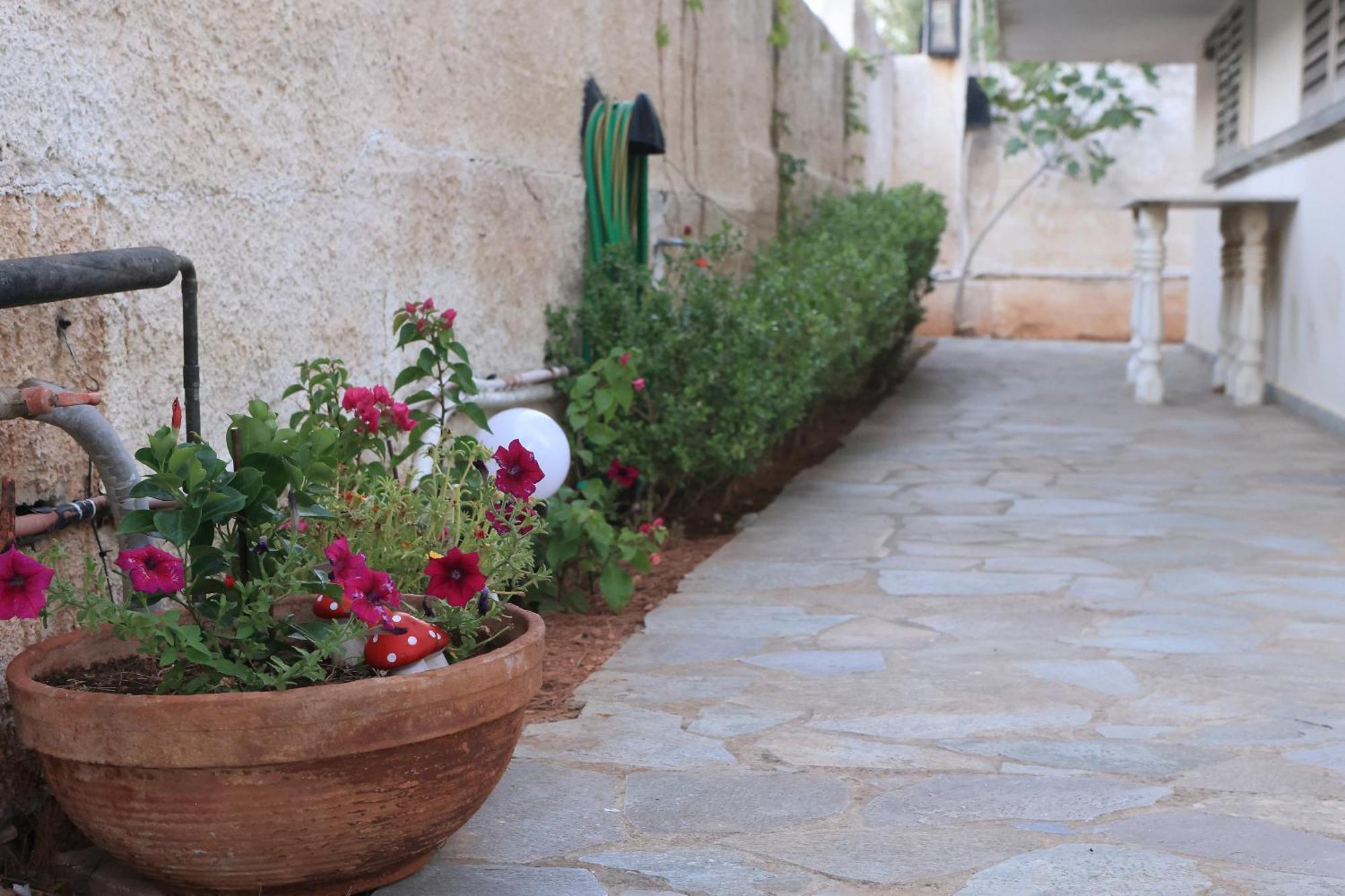 Secret Garden Home Lagonissi Attiki Foinikia  Ngoại thất bức ảnh