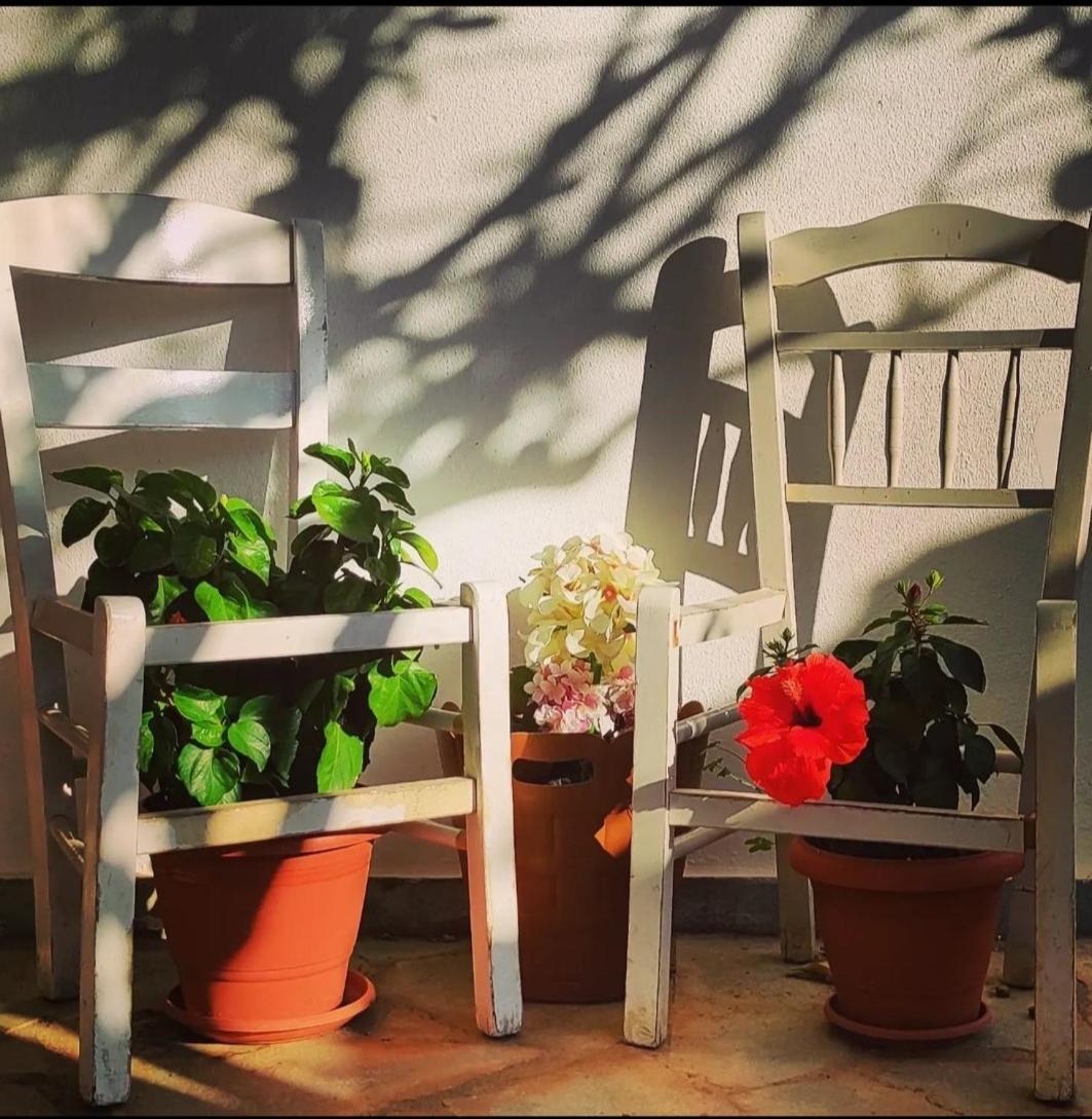 Secret Garden Home Lagonissi Attiki Foinikia  Ngoại thất bức ảnh